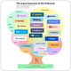 The many branches of the Fediverse